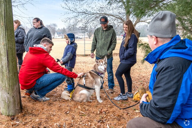 Meet huskies and their owners up close at the dog sled demo during Frozen Fest.