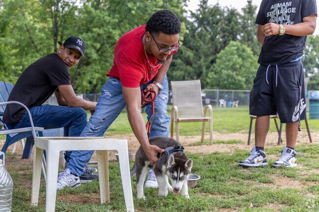 You can make plenty of furry friends at the dog park in Lawnton.