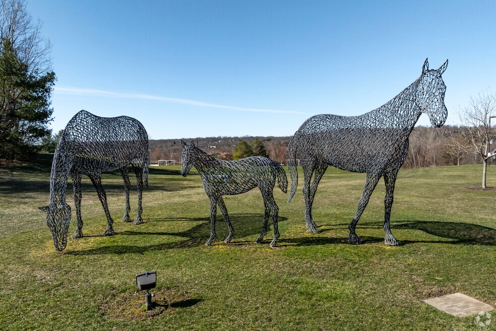 NH_Brookfield_544933_P2_V1_CT_051424