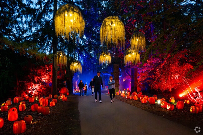 There's no shortage of pumpkins at Butler-Tarkington/Rocky Ripple's Harvest Night.