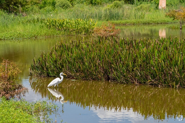 Wetlands Park at Riverstone is a treat for residents.