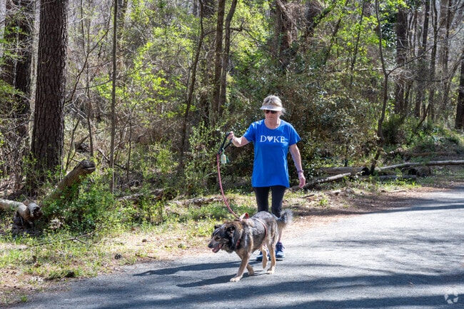 There are a ton of nature trails for the residents of Old West Durham to enjoy within the neighborhood including the Sarah Dukes Garden trails.