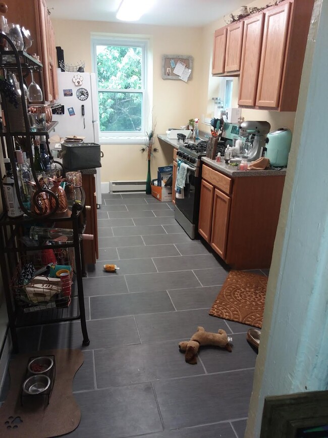 86 S 15th St Unit 3, Pittsburgh, PA 15203