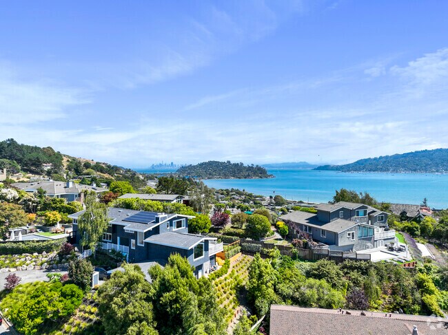 The view from these modern homes of Belvedere island is breathtaking.