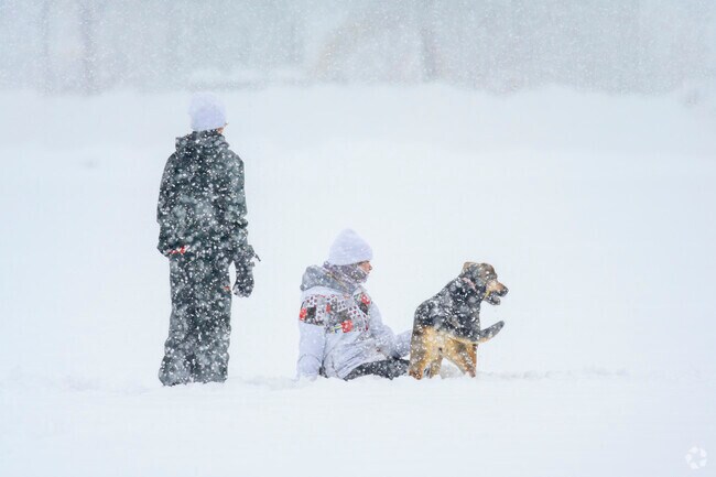 Edwards, Colorado, transforms into a winter wonderland, offering endless snow activities. From skiing and snowboarding at nearby resorts to snowshoeing through pristine forests, this mountain town is the perfect destination for those who thrive in the magic of fresh powder.