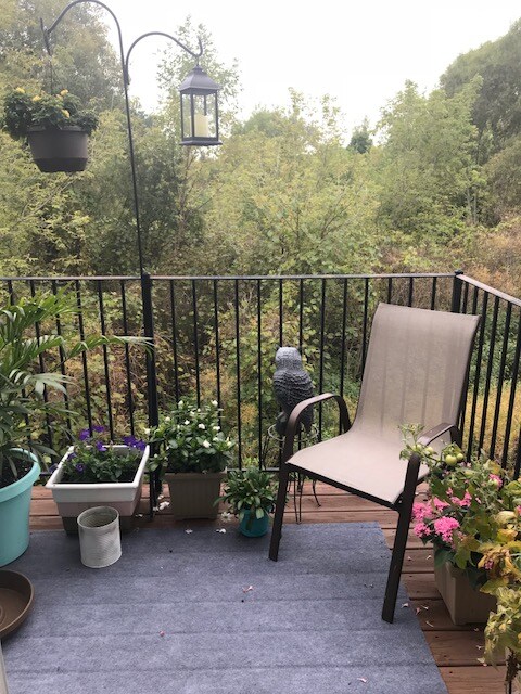 2149 Knotty Pine Tr, Howell, MI 48855 - photo 6