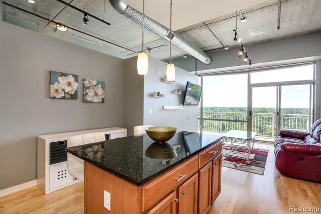Main North unit 806, Royal Oak, MI 48067 - photo 7
