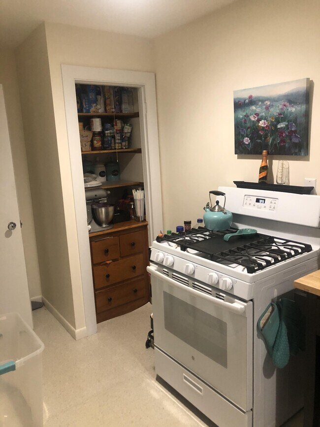 1024 Chestnut St unit 2A, Newton, MA 02464 - photo 5