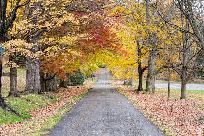 The fall colors brighten several roads around Sippo Heights.