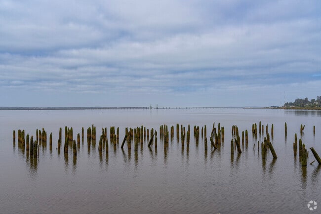 The calm cloudy mornings in Jeffers Garden create a beautiful landscape over Youngs Bay.