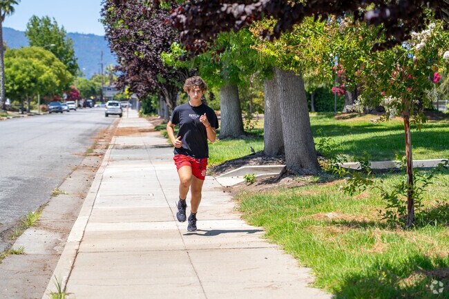 Discover scenic paths while jogging through Rose-Sartorette’s vibrant, tree-lined streets.