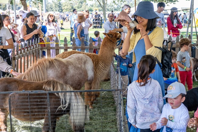 Kids of all ages love the petting zoo at the Irvine Global Village Festival in the Great Park.