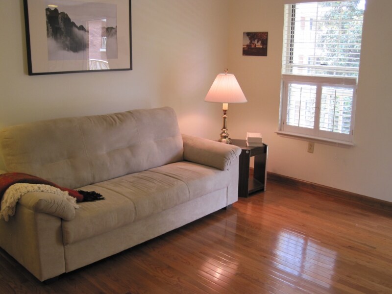 250 Elm St unit 625, Clemson, SC 29631 - photo 1