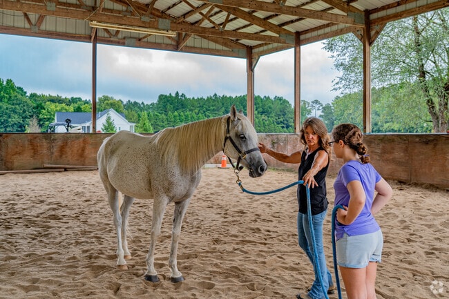 Heartland Estate Horse Farm brings programs like Equine Assisted Learning to Stokes residents.