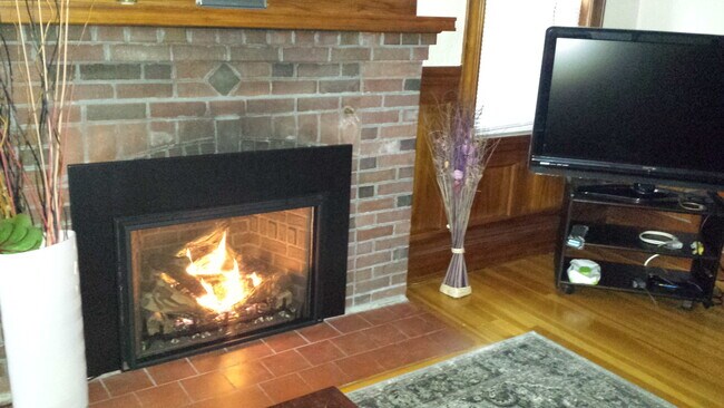 Gas Fireplace
