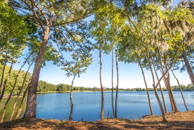 Walden at Chatham Center, Savannah, GA 31405 - photo 3