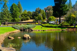 Lake of the Pines