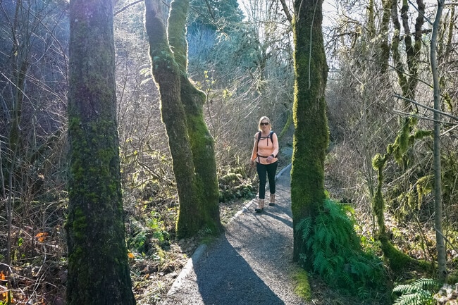 Hikers enjoy the trees and moss while hiking the Amazon Headwaters Trail in Southeast Eugene.