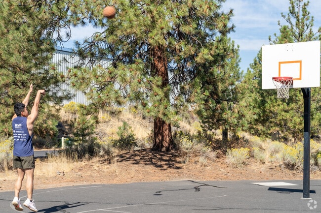Most of the parks in Larkspur offer baseball fields, basketball courts, and other amenities.