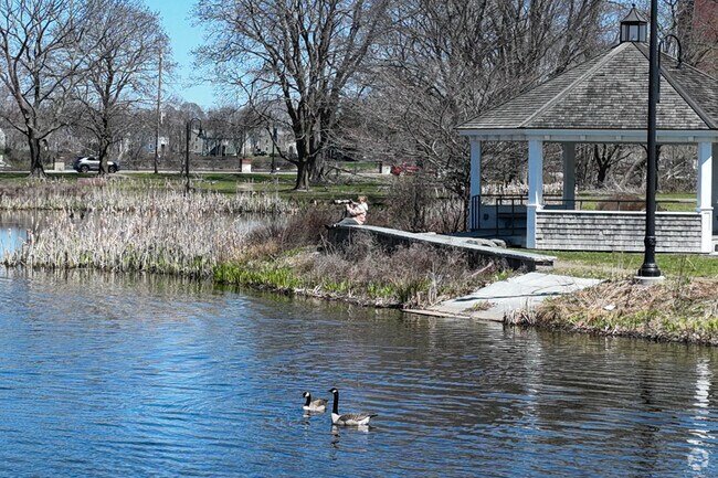 Knightville is a blend of nature and society.