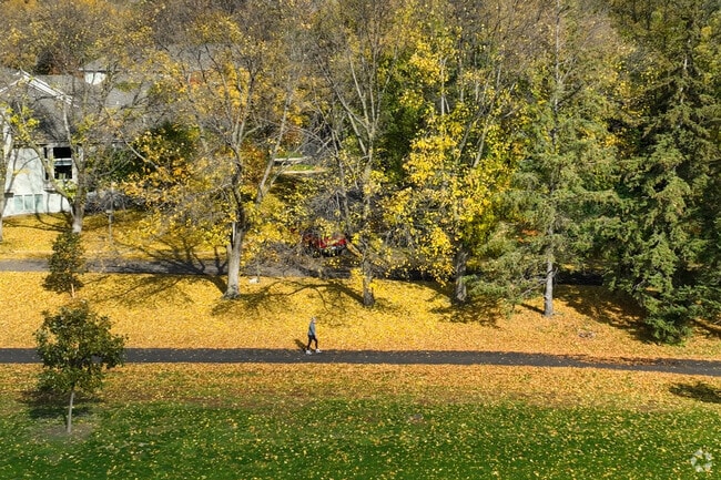 There are plenty of walking paths to enjoy in Lewis Park in Prospect Knolls.