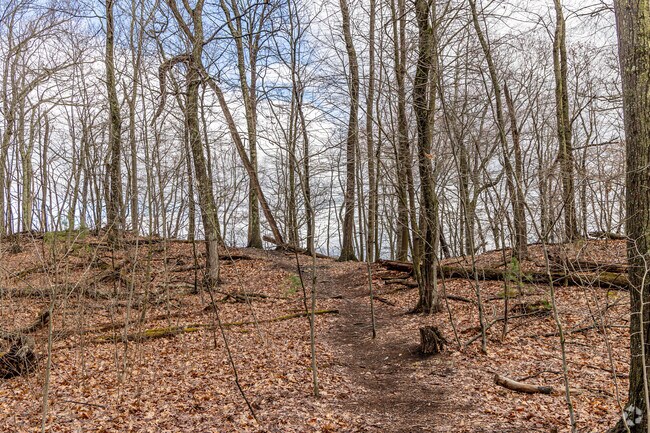 Bailey Reservation offers walking trails in the neighborhood of Salem Street.