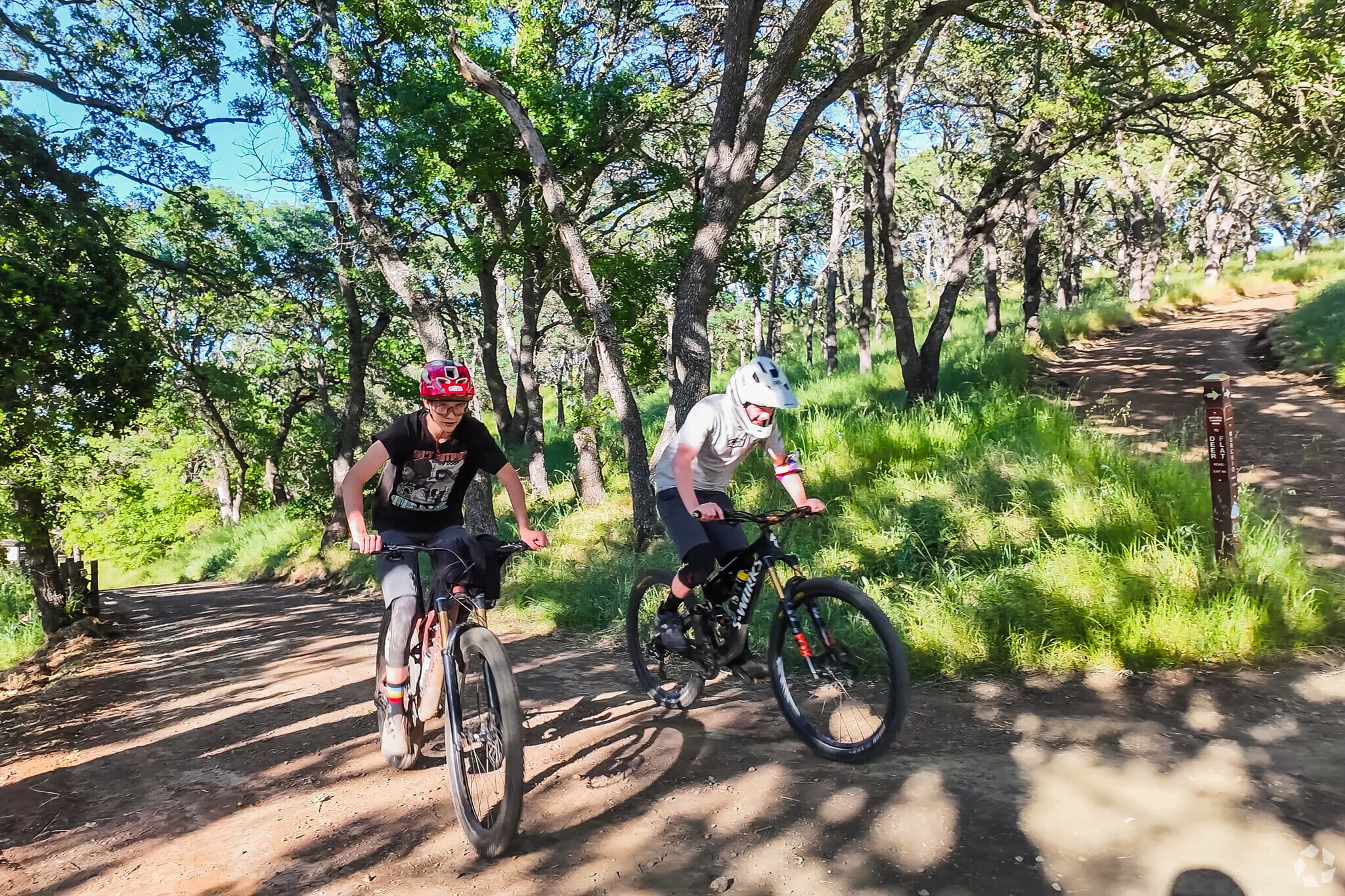 Alamo residence enjoy mountain biking at Mount Diablo State Park.