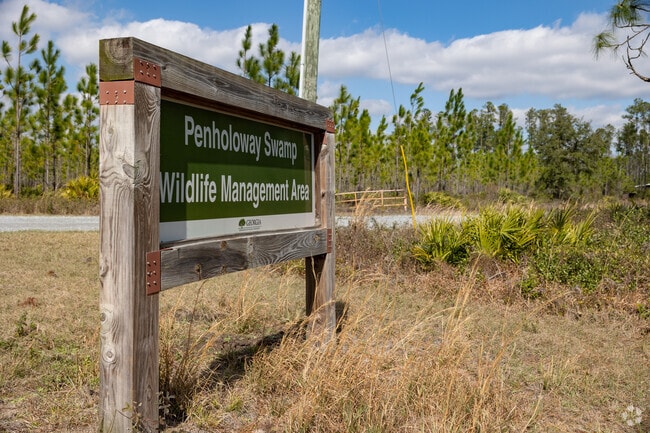 Visit the WMA at Penholoway near Jesup.