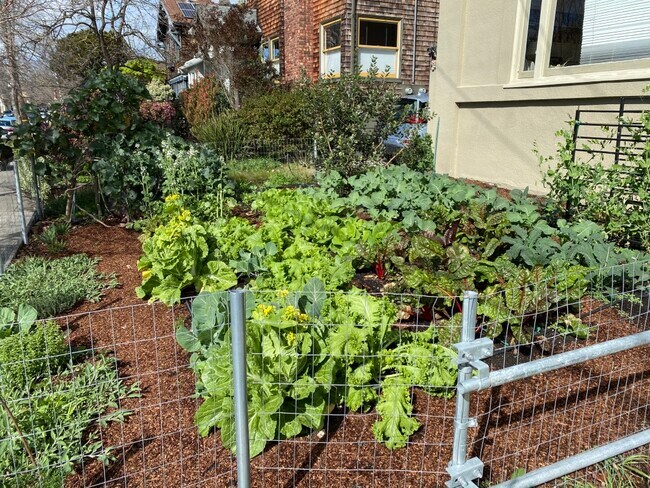 6508 Dana St unit D2, Oakland, CA 94609 - photo 3