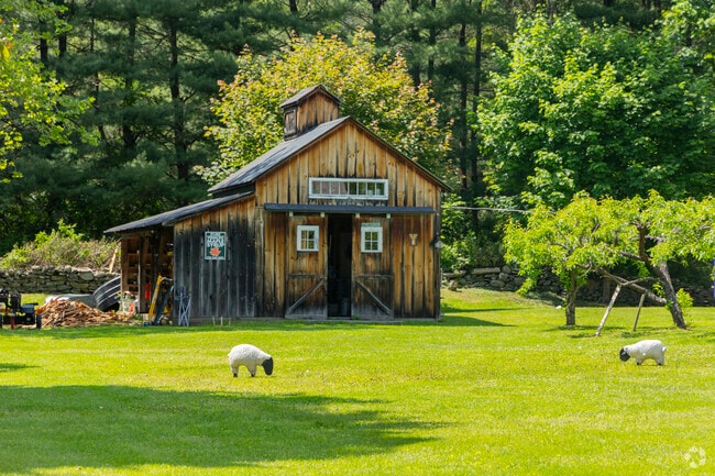Along Route 30 near Brookline, a weathered barn stands against open fields while two sheep graze peacefully nearby, capturing the essence of country life.