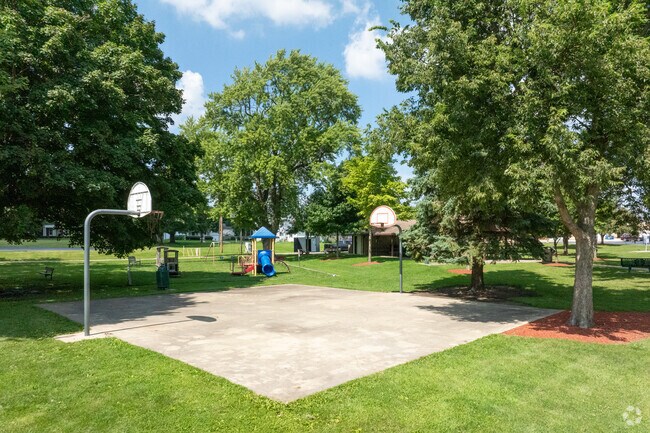 Join a pickup basketball game at Memorial Park
