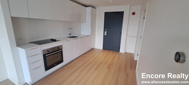 55 Traveler St unit 1210, Boston, MA 02118 - photo 5