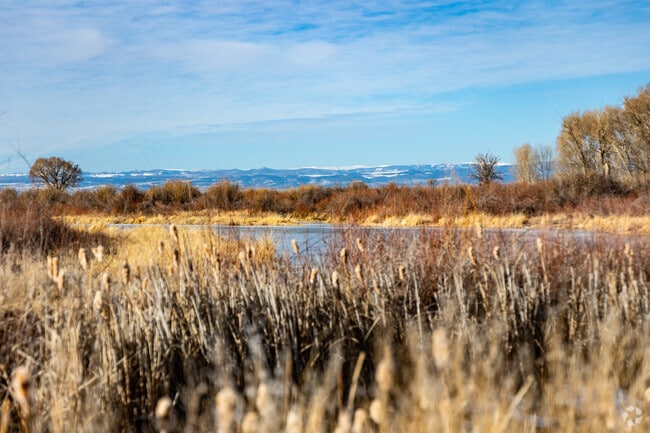 Head to the Alamosa National Wildlife Refuge to hike and birdwatch.