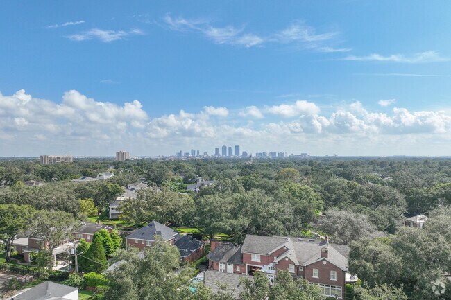 Downtown Tampa is just miles away from Golfview.