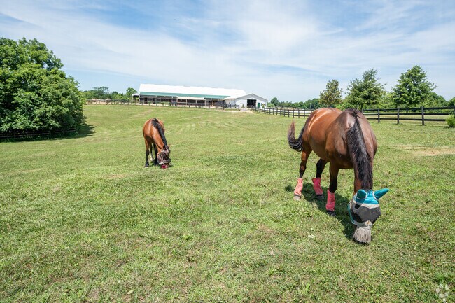 Shelby Trails Park has both indoor and outdoor arenas for year-round riding.