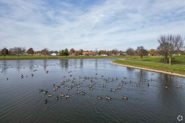 Martin Luther King Park has scenic view of nature in Lima.