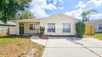 8705 Ruth Place, Tampa, FL 33604