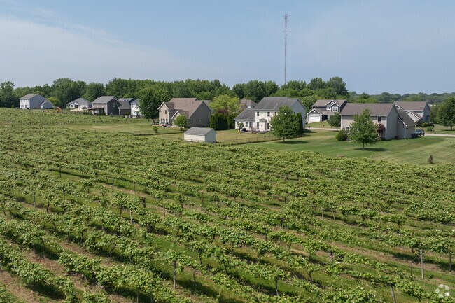 Royalton Township is a mix of newer subdivisions separated by farmland.