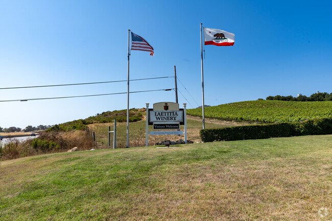 The flags fly high in the wind at the entrance to Lataitia Vineyard & Winery.