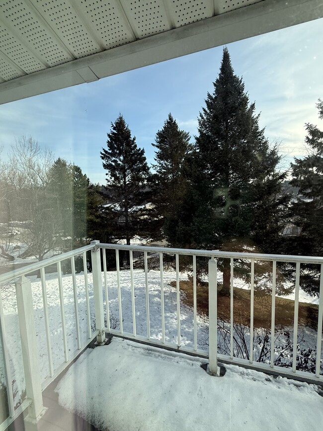 812 State St, Bangor, ME 04401 - photo 3