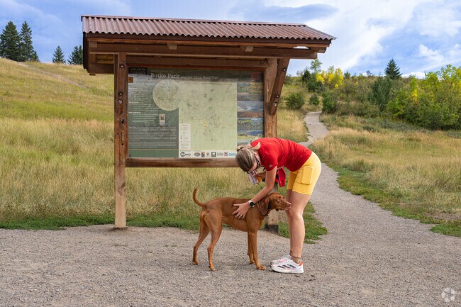 Dog lovers enjoy a brisk walk surrounded by nature on the trails of Peets Hill.
