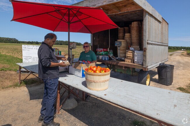 Lewin Farms has a pick-your-own area that North Shore areas like East Shoreham are known for.