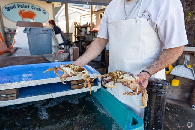 Enjoy fresh caught and cooked crab at Spud Point Crab Co in Bodega Bay.