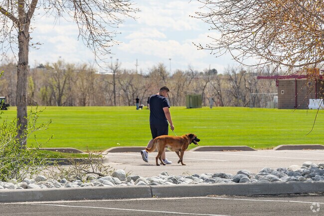 Aurora Sports Park also makes for a great open space to walk your dog.