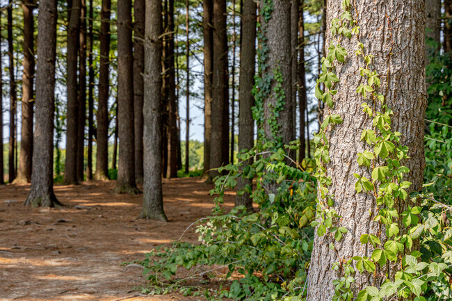 The popular Rock Springs Conservation Area is just west of Devonshire.