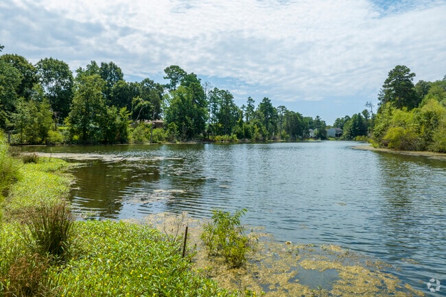 Sparrow Pond is Pawtuckett resident's own small oasis in the hear of the neighborhood.