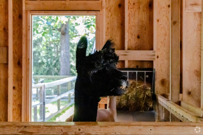 Visit Farm Zoo to see llamas and other friendly farm animals.
