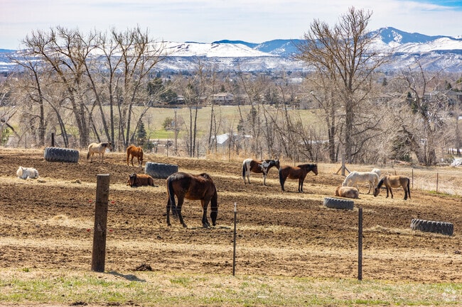 Cameo Estates is an active horse community, so you'll find lots of horse lots here.