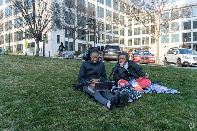 You can have a picnic or finish homework on the lawn at Bailey Park in Winston-Salem.