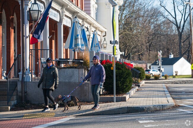 Four legged pets take part in Grafton's lifestyle.